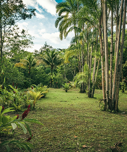 Biodiversity