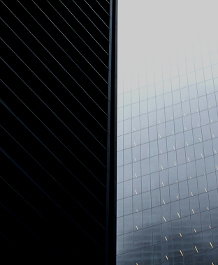 JSW Holdings